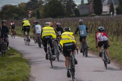Fondation_boscardin-123