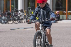 Fondation_boscardin-51