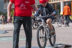 Fondation_boscardin-52