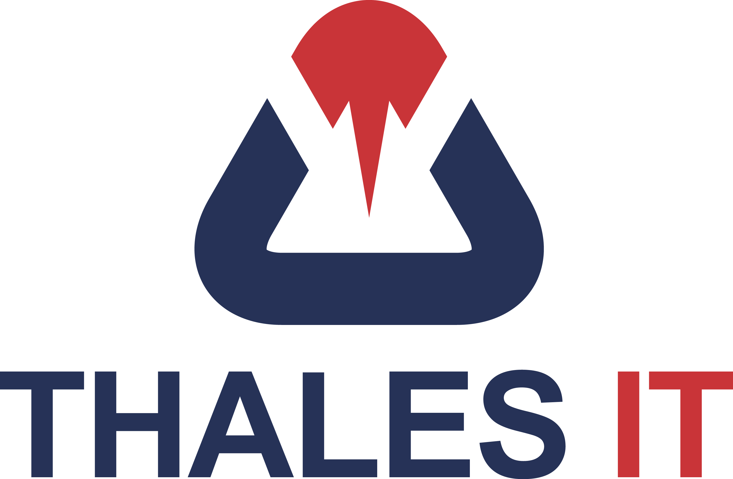 https://www.fondationbrunoboscardin.ch/wp-content/uploads/2018/05/THALES_IT.png